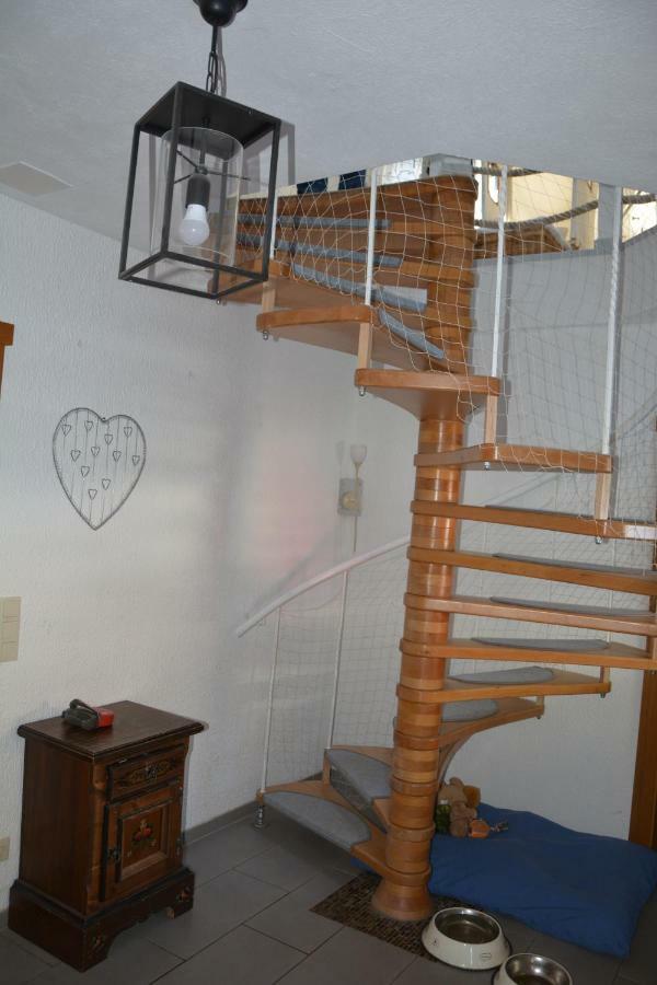 Winterberg Apartment Bromskirchen